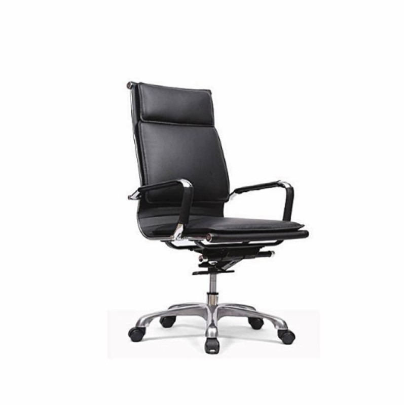 Director Chair-DDC0031